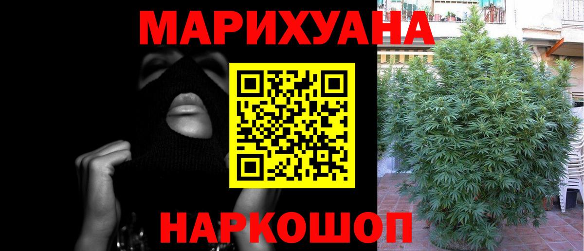 Прохладный  Канабис SATIVA & INDICA  Канабис ГИДРОПОН  Вход с VPN  Бошки марихуана Amnesia 